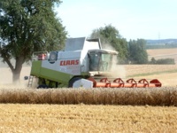 Landwirtschaft (Ullrichs Putenhof)